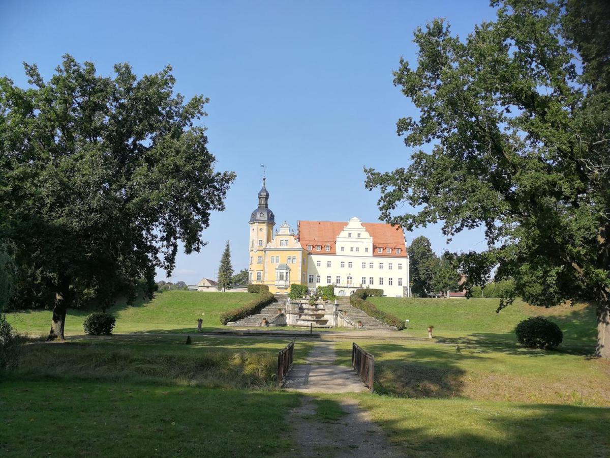 Pension Schlossblick Thallwitz Exterior photo